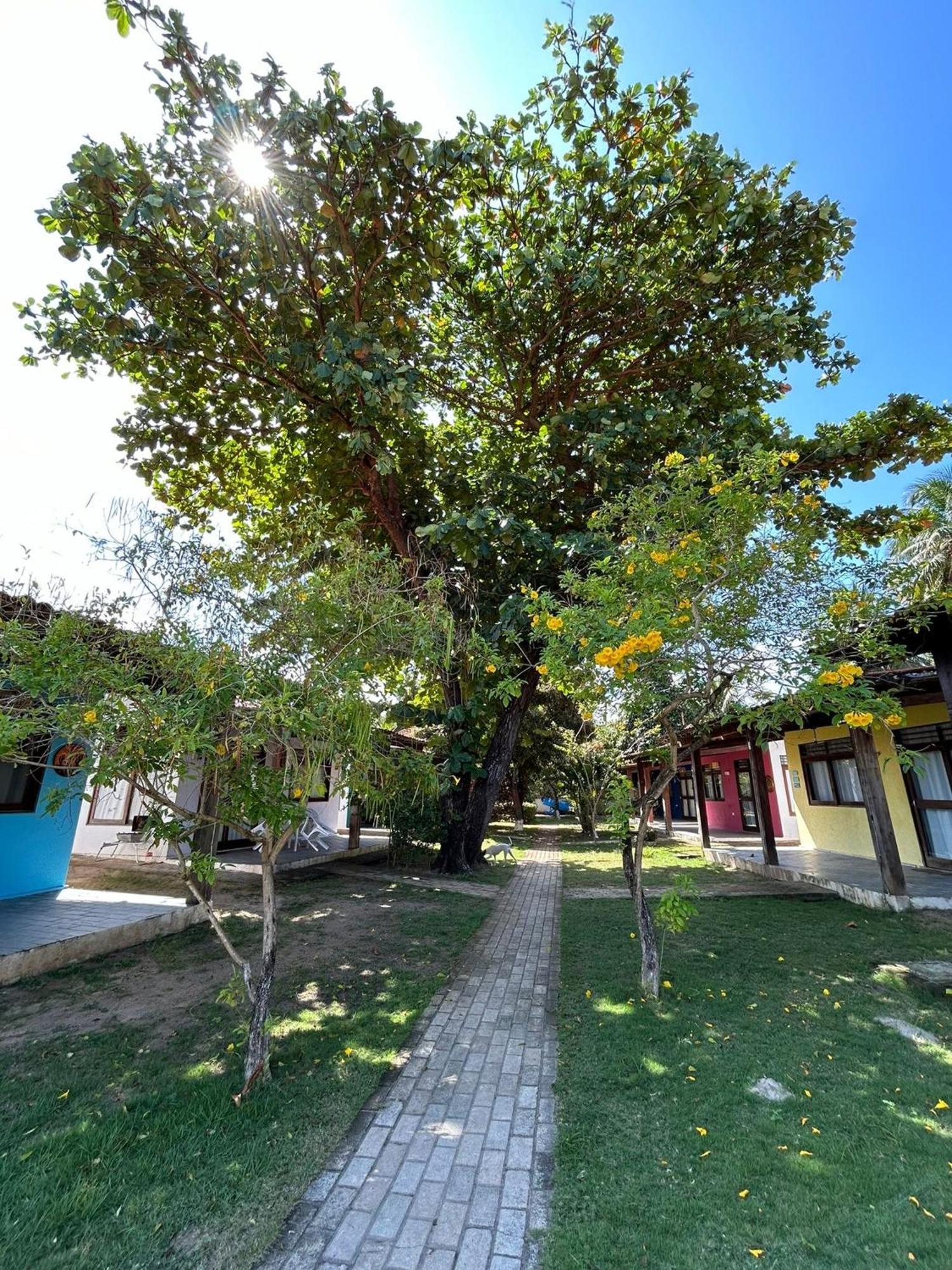 Chalés Praias Brasileiras Maragogi Exterior foto